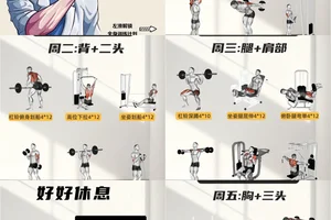  为什么体型管理是篮球训练的重要组成部分：全面提升运动表现的关键
